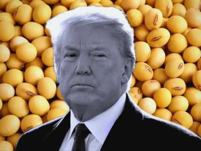 美大豆出口协会：中国市场无可替代