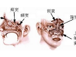 程雅昭：五官与三观，狙击蝴蝶的优雅与坚定