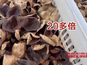 揭秘千元假陈皮背后的低成本真相：仅70元成本！