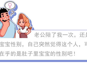 双轨并行：探索多元发展路径的奥秘